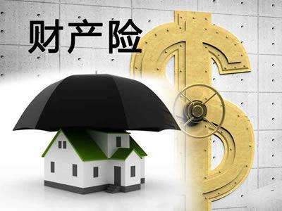 財(cái)產(chǎn)保險(xiǎn)的種類包括哪些？